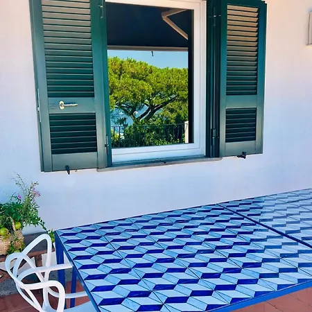 Bouganville * Ischia