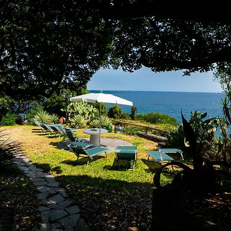 Bouganville By Ischiaexp Ischia